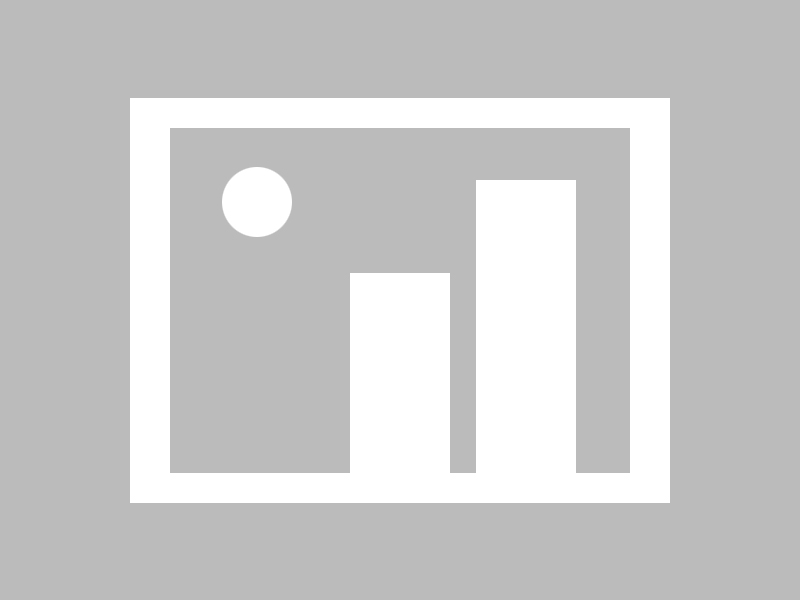 凌晨的蘑菇影像：学习计划让我别跳过（发生在书店）