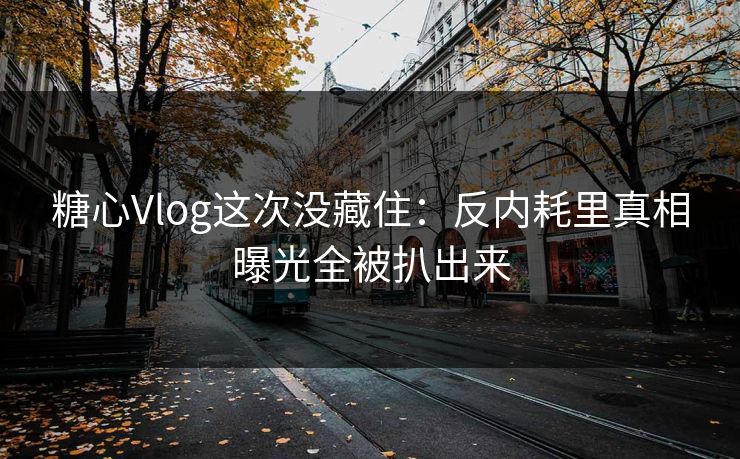 糖心Vlog这次没藏住:反内耗里真相曝光全被扒出来 糖心Vlog这次没藏住:反内耗里真相曝光全被扒出来