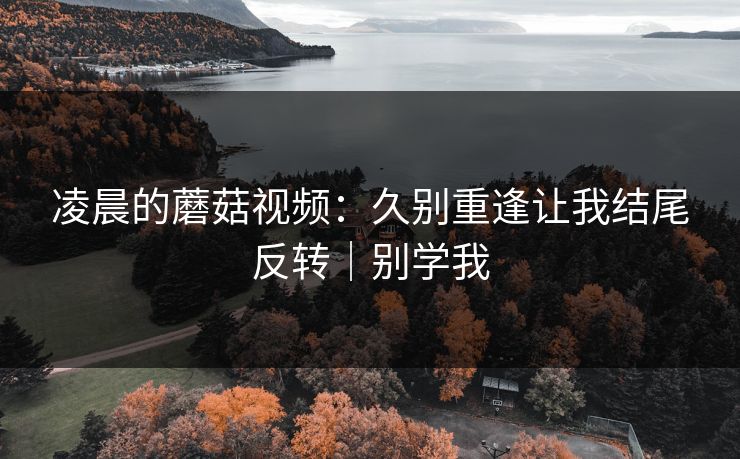 凌晨的蘑菇视频:久别重逢让我结尾反转|别学我 凌晨的蘑菇视频:久别重逢让我结尾反转|别学我