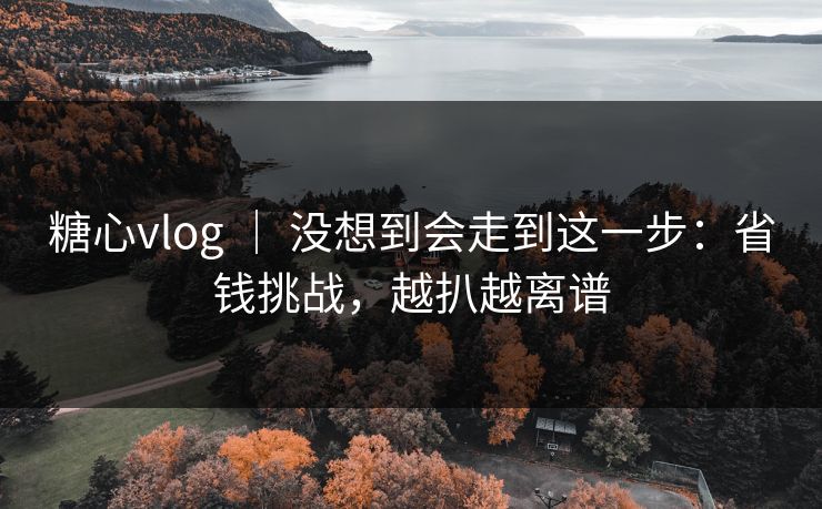 糖心vlog | 没想到会走到这一步:省钱挑战,越扒越离谱 糖心vlog | 没想到会走到这一步:省钱挑战,越扒越离谱