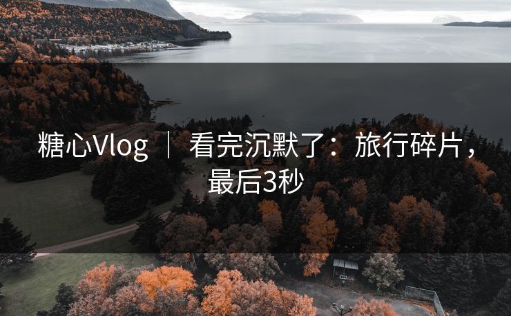 糖心Vlog ｜ 看完沉默了：旅行碎片，最后3秒
