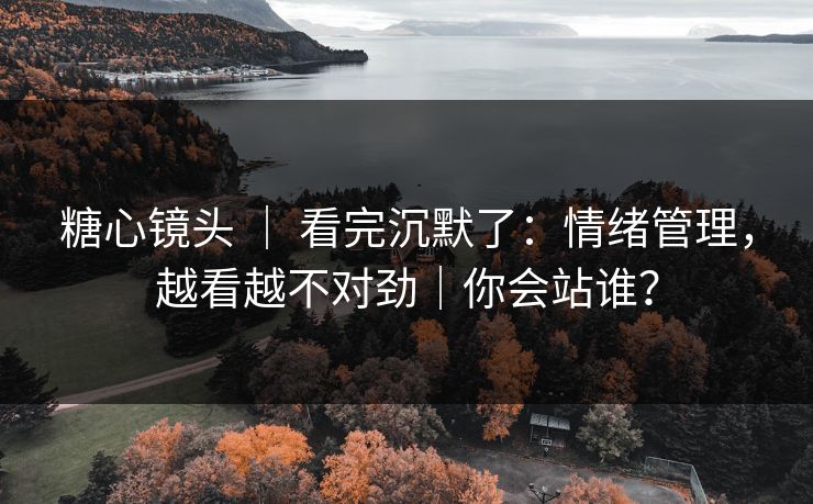 糖心镜头 ｜ 看完沉默了：情绪管理，越看越不对劲｜你会站谁？