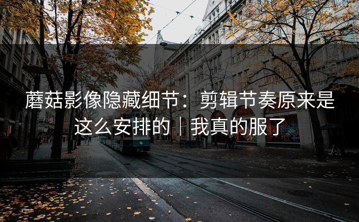 蘑菇影像隐藏细节：剪辑节奏原来是这么安排的｜我真的服了